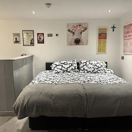 Pet-friendly Open Plan In Sleeps 2 Dublino