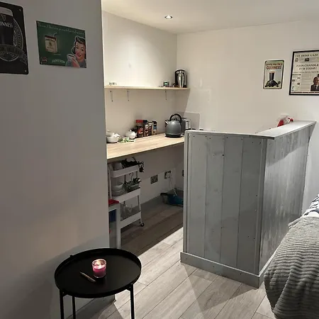 Pet-friendly Open Plan In Sleeps 2 * Dublin