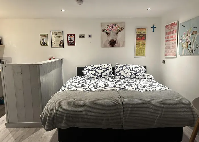 Pet-friendly Open Plan In Sleeps 2 Dublino